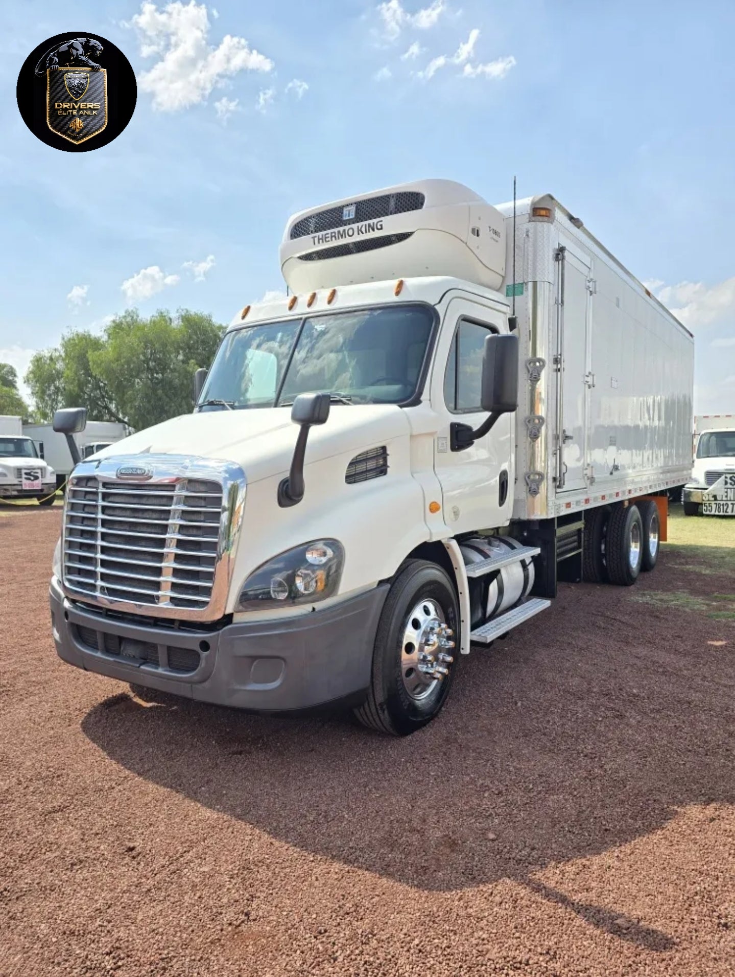 Freightliner Cascadia 2016 Tortón Caja Refrigerada Rabon
