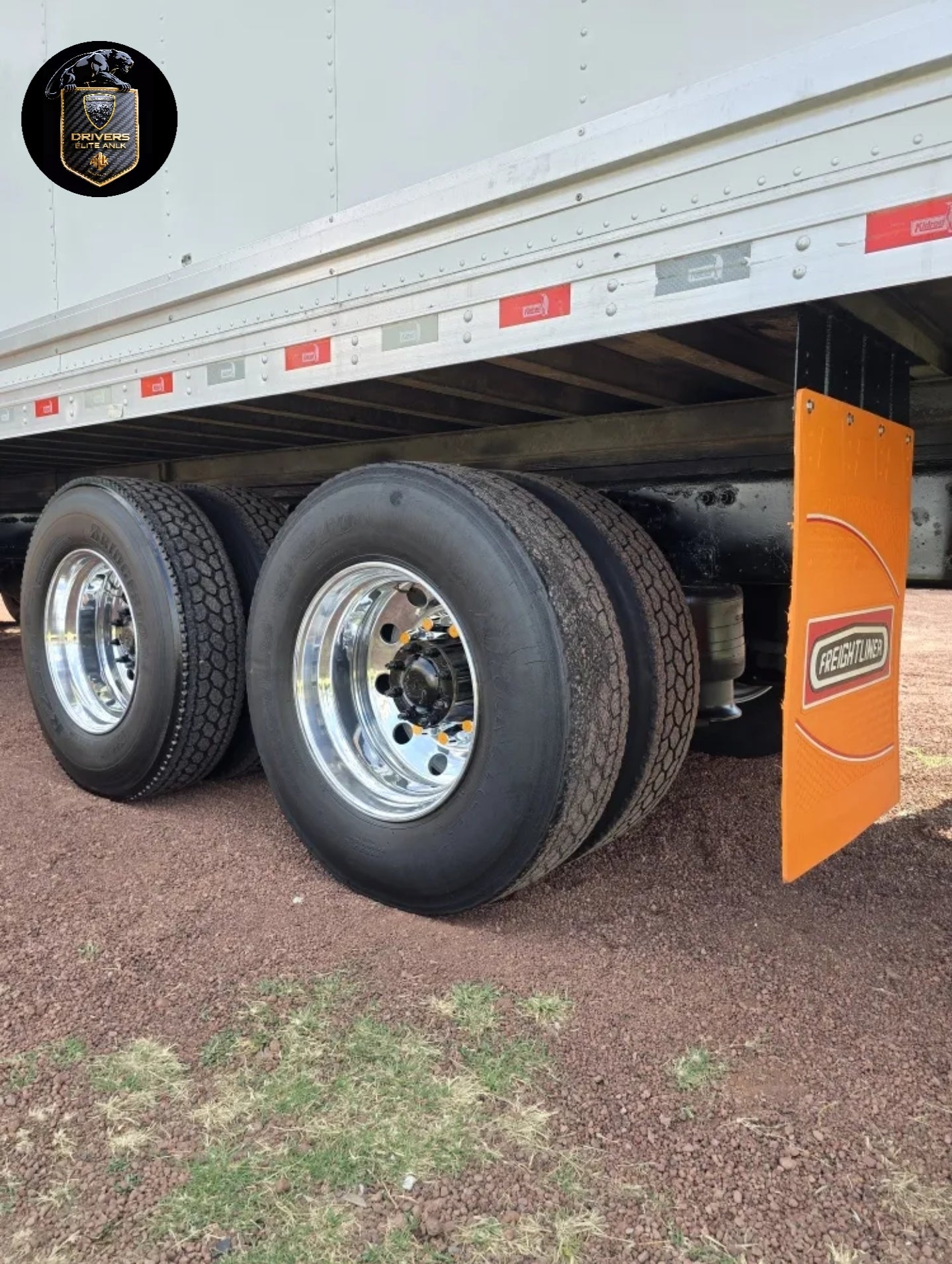 Freightliner Cascadia 2016 Tortón Caja Refrigerada Rabon